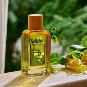 Body Shop